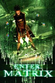 Making ‘Enter the Matrix’